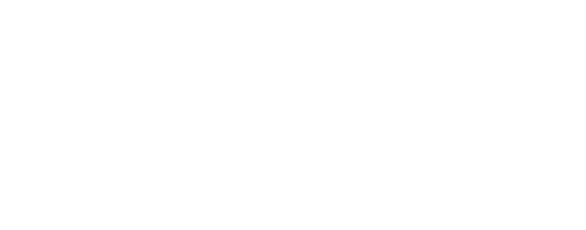 Bently Nevada