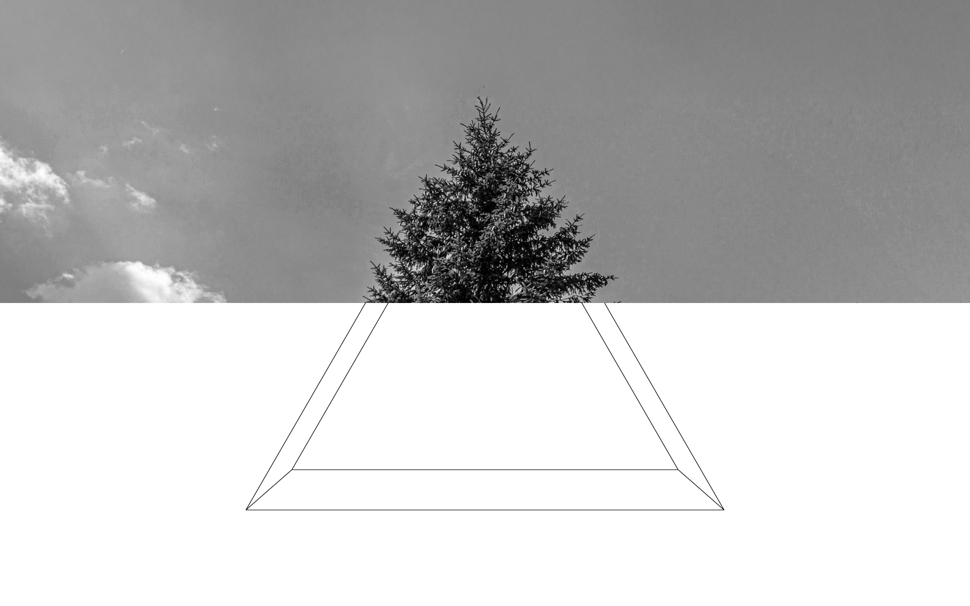 Homepage_scroll19.webp